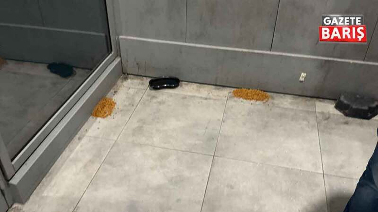 Kocaeli’de hastane asansörüne mama kabı koydular!