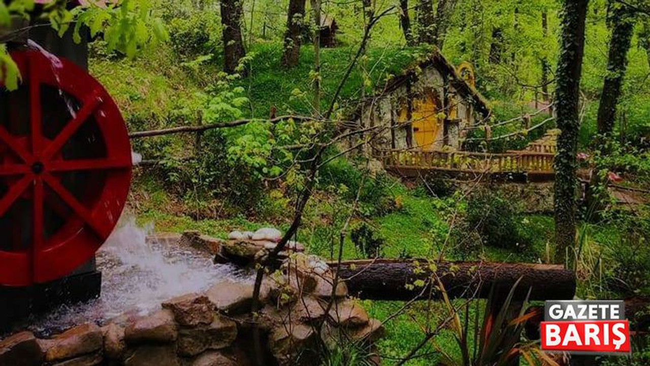 Ormanya’da para dolu çanta bulundu