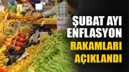 Şubat ayı enflasyon rakamları açıklandı