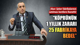 Akar: Köprünün 1 yıllık zararı 25 fabrikaya bedel!