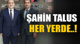 Şahin Talus her yerde..!