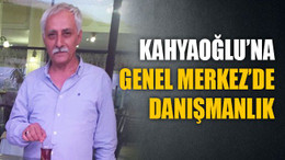 Kahyaoğlu’na Genel Merkez’de danışmanlık