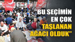 Bu seçimin en çok taşlanan ağacı olduk