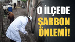 O ilçede şarbon önlemi