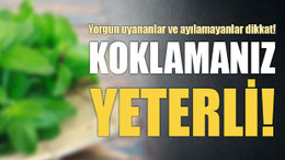 Yorgun uyananlar ve ayılamayanlar dikkat! Koklamanız yeterli!