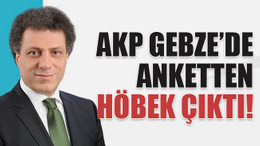 AKP Gebze’de anketten Höbek çıktı