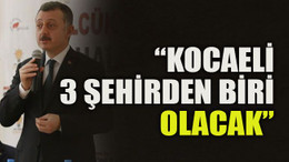 Kocaeli 3 şehirden biri olacak