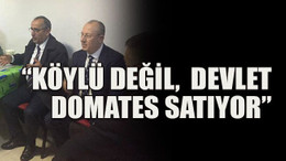 Köylü değil, devlet domates satıyor