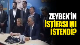 Emine Zeybek’in istifası mı istendi?