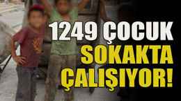 1249 çocuk sokakta çalışıyor!