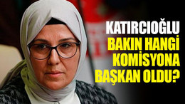 Katırcıoğlu, bakın hangi komisyona başkan oldu?