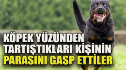 Köpek yüzünden tartıştıkları kişinin parasını gasp ettiler