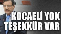 Kocaeli yok teşekkür var