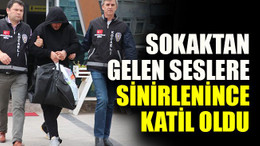 Sokaktan gelen seslere sinirlenince katil oldu