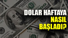 Dolar/TL ne kadar oldu? (25.11.2019)