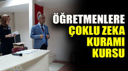 Öğretmenlere çoklu zeka kuramı kursu