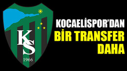 Kocaelispor’dan bir transfer daha