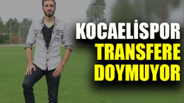 Kocaelispor transfere doymuyor