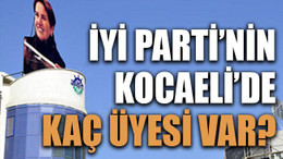 İYİ Parti’nin Kocaeli’de kaç üyesi var?