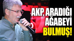 AKP, aradığı ağabeyi bulmuş!