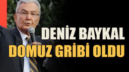 Deniz Baykal domuz gribi oldu
