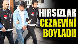 Hırsızlar cezaevini boyladı!