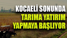 Kocaeli sonunda tarıma yatırım yapmaya başlıyor