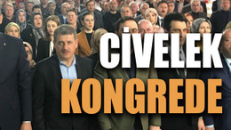 Civelek kongrede