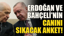 Erdoğan ve Bahçeli'nin canını sıkacak anket!
