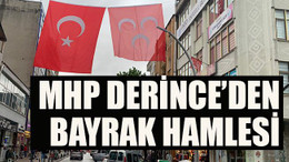 MHP Derince’den bayrak hamlesi