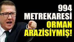 994 metrekaresi orman arazisiymiş!