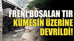 Freni boşalan tır kümesin üzerine devrildi!