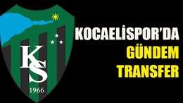 Kocaelispor’da gündem transfer
