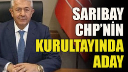Cengiz Sarıbay CHP’nin kurultayında aday