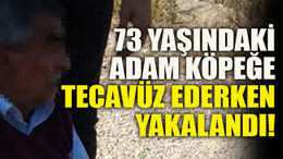 73 yaşındaki adam köpeğe tecavüz ederken yakalandı!