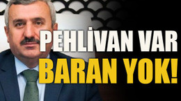 Pehlivan var, Baran yok!