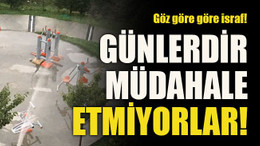 Göz göre göre israf! Günlerdir müdahale etmiyorlar!
