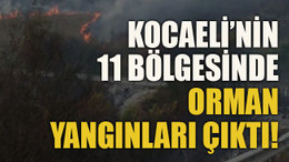 Kocaeli’nin 11 bölgesinde orman yangınları çıktı!