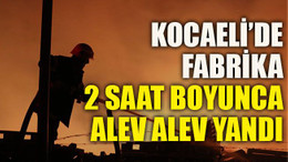 Kocaeli’de fabrika 2 saat boyunca alev alev yandı