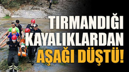 Tırmandığı kayalıklardan aşağı düştü!