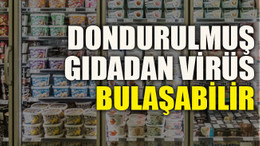 Dondurulmuş gıdadan virüs bulaşabilir