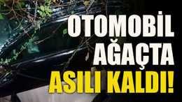 Taşan derenin sürüklediği otomobil ağaçta asılı kaldı!