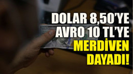 Dolar 8,50’ye, avro 10 TL’ye merdiven dayadı!