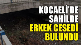 Kocaeli’de sahilde erkek cesedi bulundu