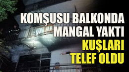 Komşusu balkonda mangal yaktı, kuşlar telef oldu