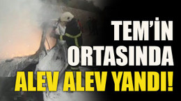 TEM’in ortasında alev alev yandı!