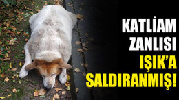Katliam zanlısı, Işık’a saldıranmış!