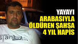 Yayayı arabasıyla öldüren şahsa 4 yıl hapis