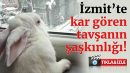 İzmit’te kar gören tavşanın şaşkınlığı!