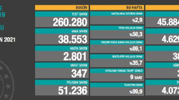 24 saatte 347 kişi hayatını kaybetti!